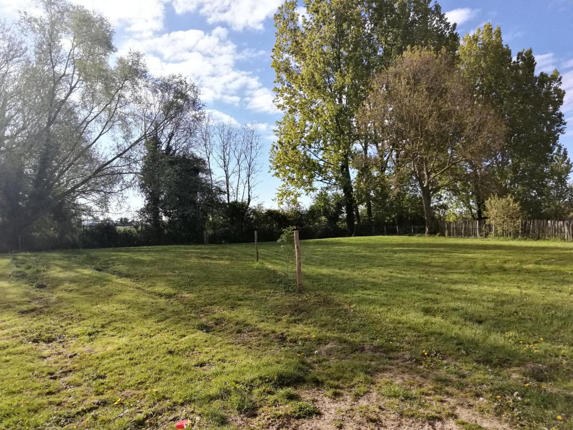 Foret De Nieppe Merville  Luaran gambar